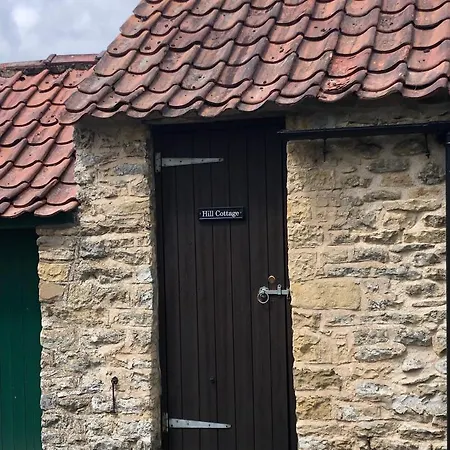 Hill Cottage, Thornton-le-dale Holiday home Thornton Dale